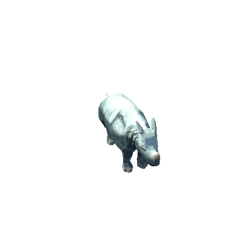 Rhinoceros Unicornis Variation-3